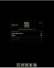 +7 Warrior Radiant Set